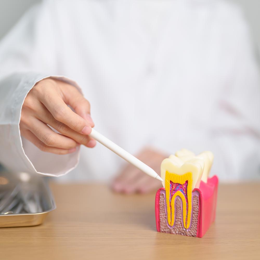 How Do Dental Bridges Work?