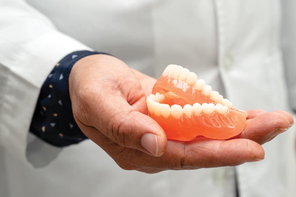 Dentist Holding Denture Model