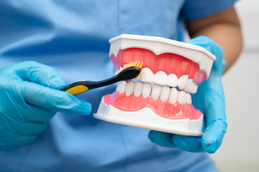 Typical Procedures During a Dental Cleaning