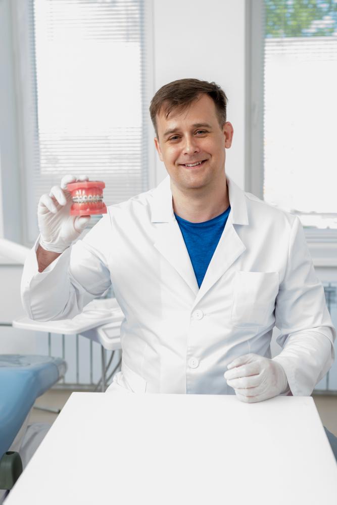 Dentist showing braces system on teeth model