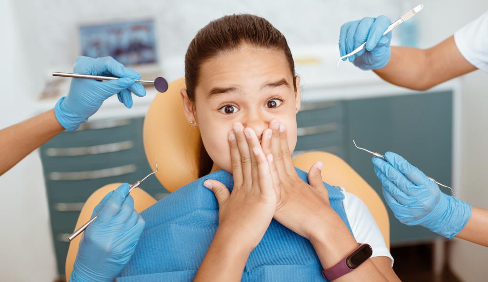 Comprehensive Services Offered