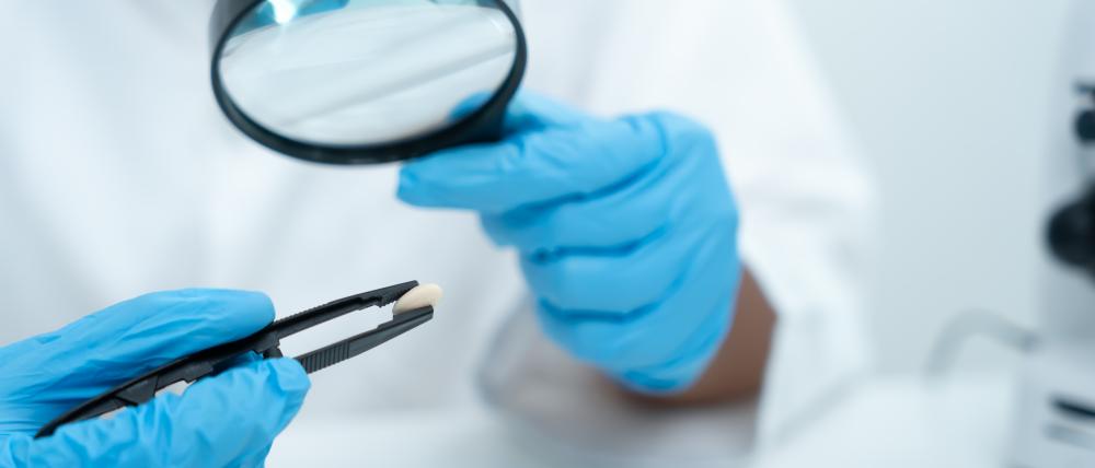 The Extraction Procedure: What to Expect