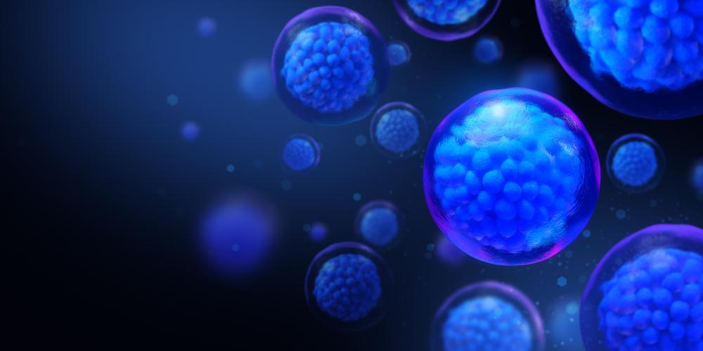 How is Stem Cell Therapy Applied?