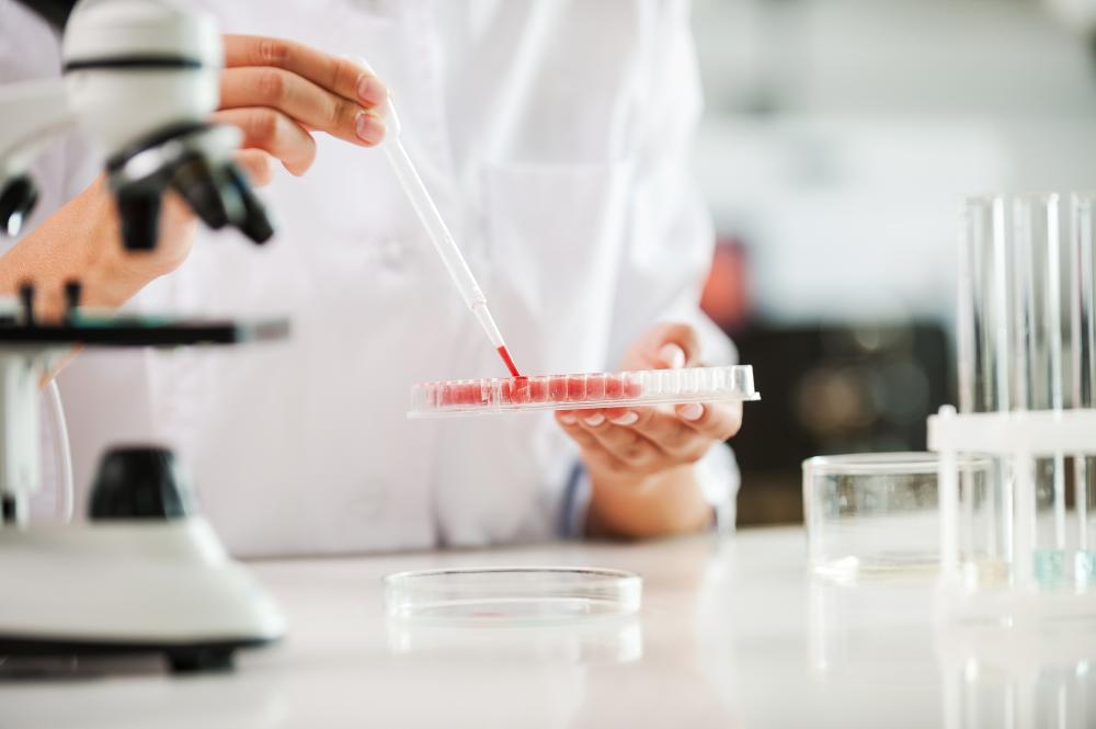 The Science Behind Success