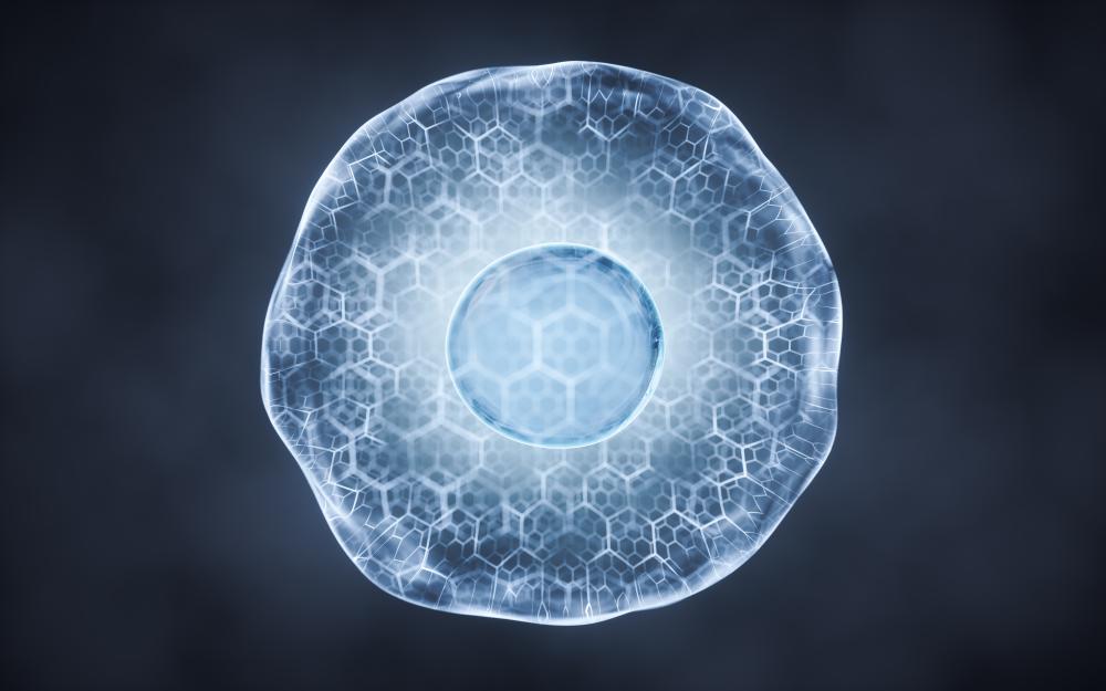 What Makes Stem Cell Therapy Effective?