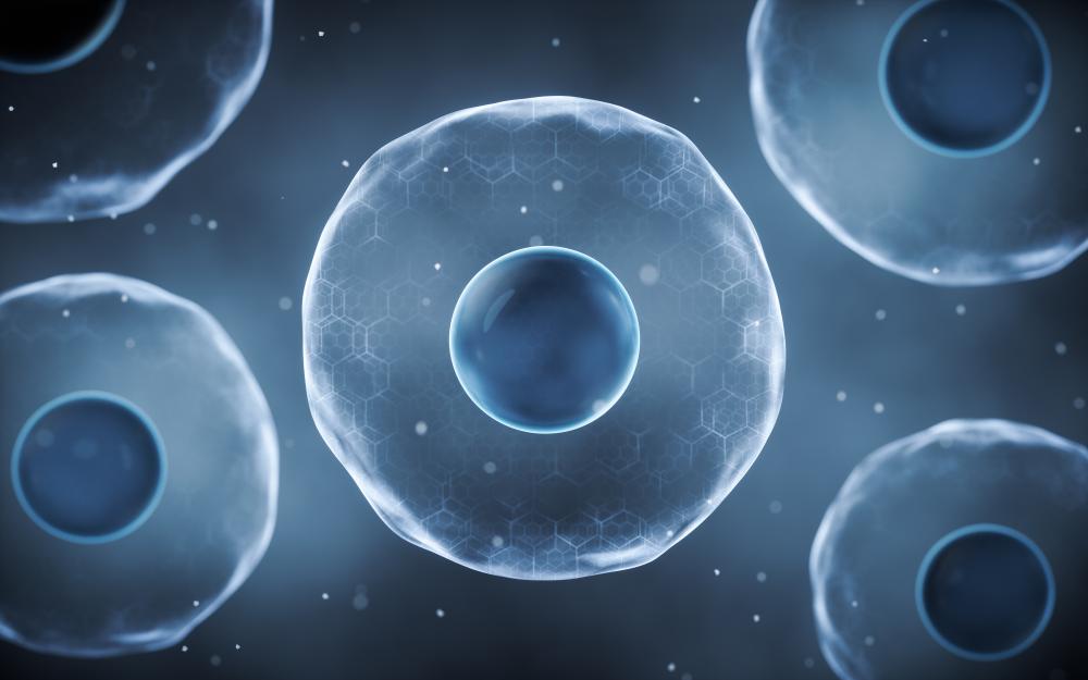 What Makes a Real Impact with Stem Cells?