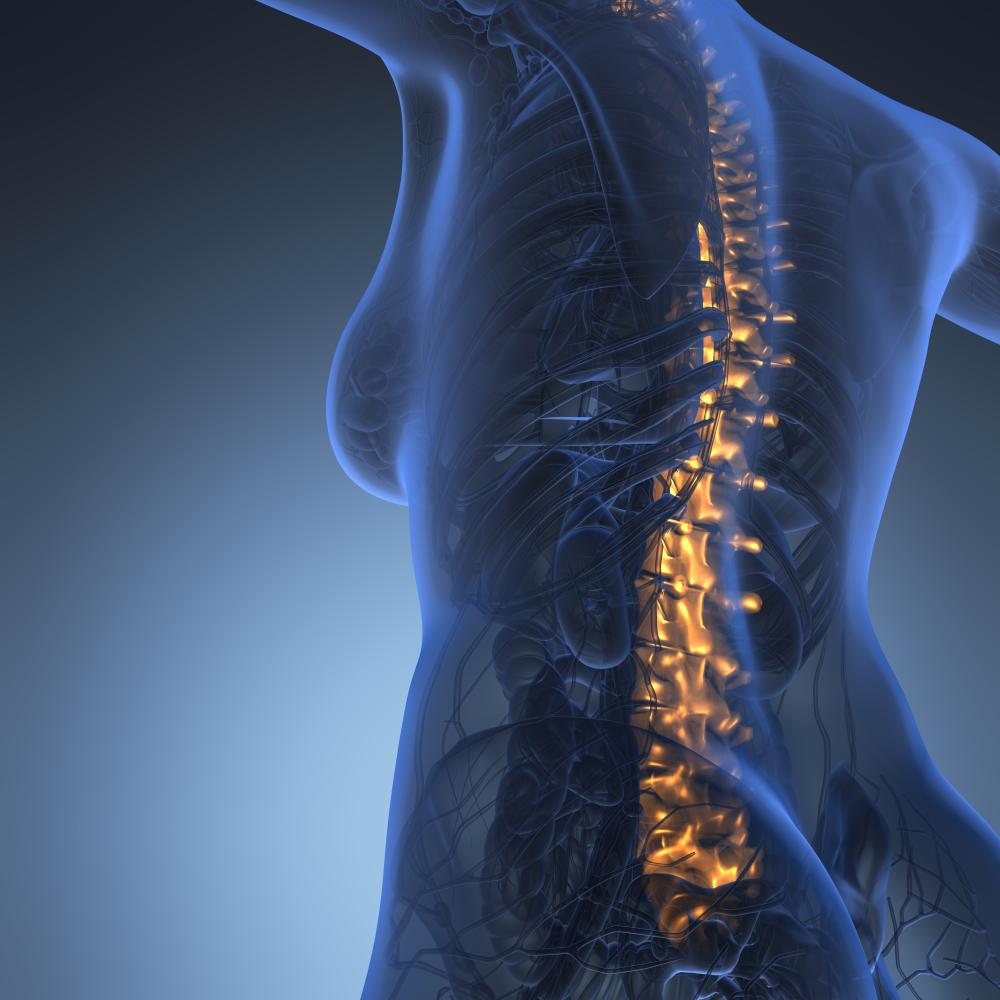 Benefits of Comprehensive Chiropractic Care