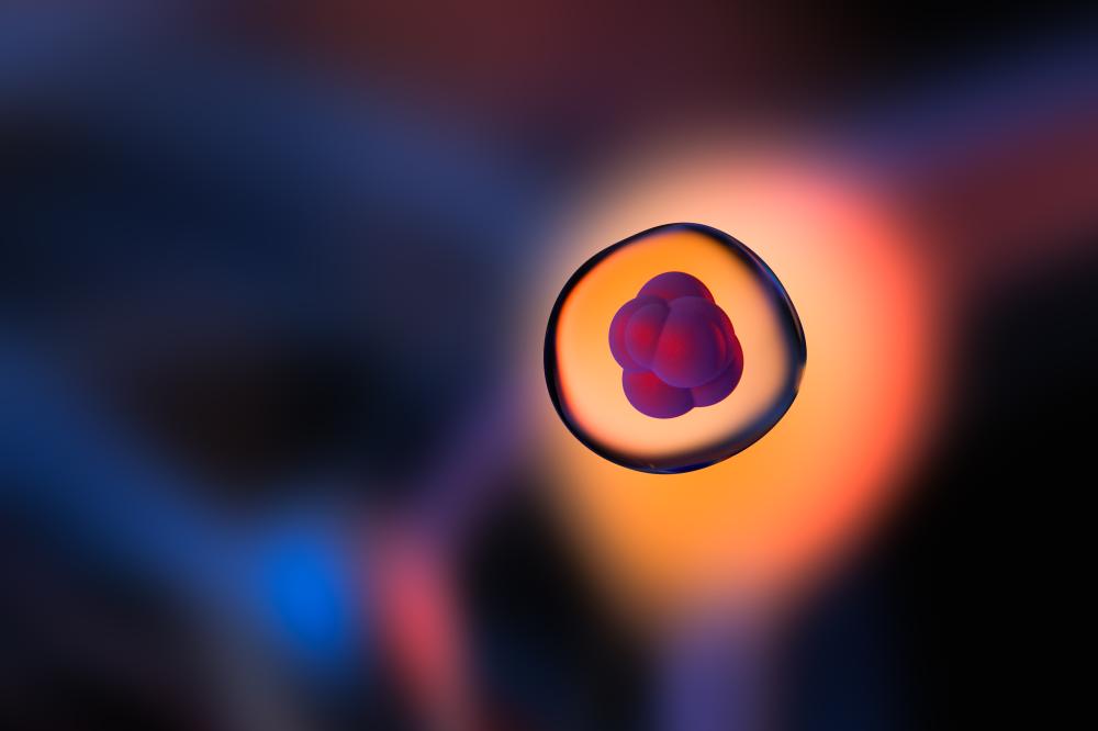 Why Consider Panama Stem Cell?