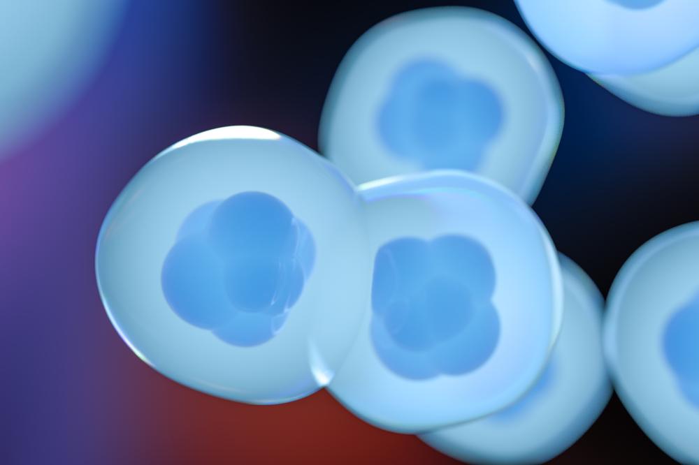 Benefits and Process of Stem Cell Therapy