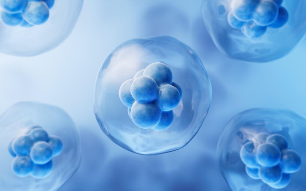 How Stem Cell Therapy Works