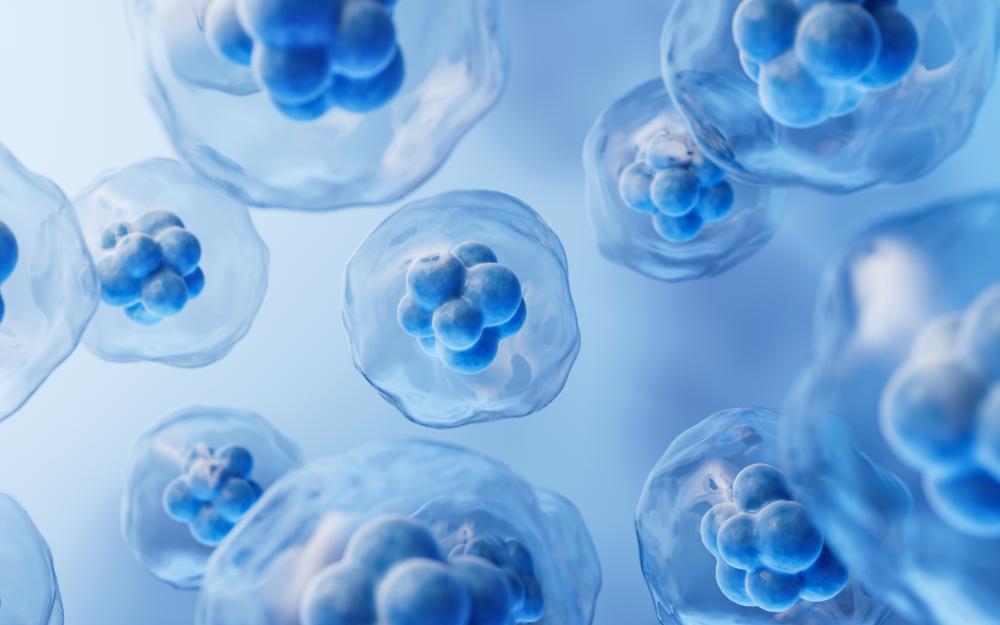 Who Can Benefit from Stem Cell Therapy?