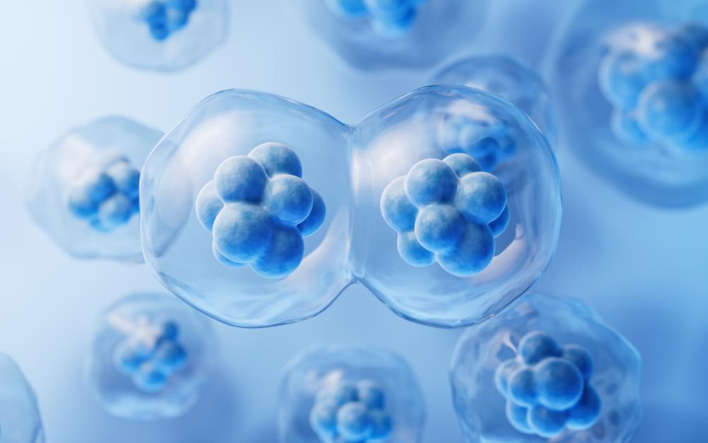 Benefits of Stem Cell Therapy