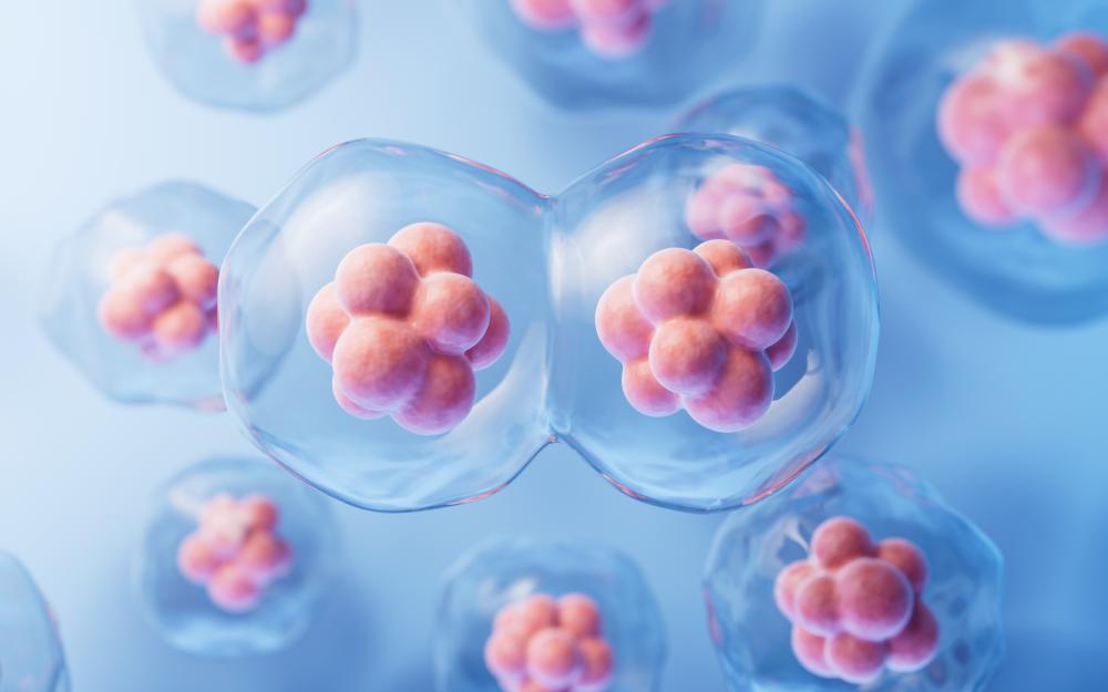 How Does Stem Cell Therapy Work?