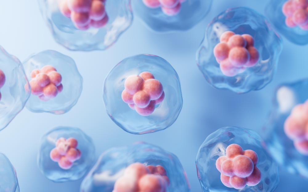 How Does Stem Cell Therapy Work?