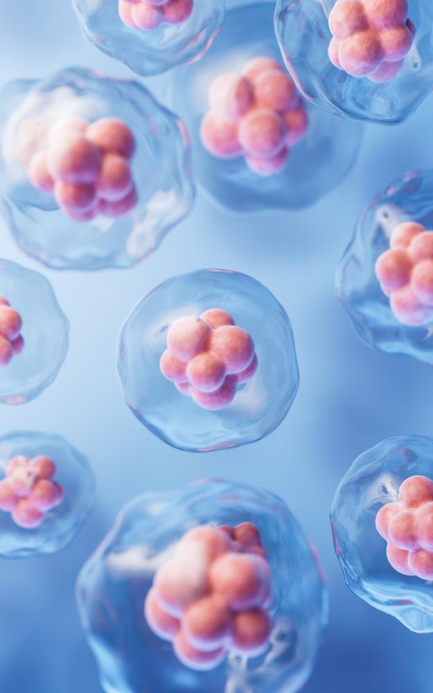 How Does Stem Cell Therapy Work?