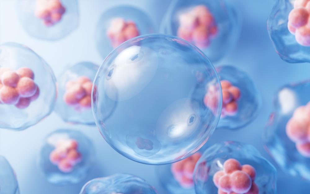 What Makes a Treatment the Best?