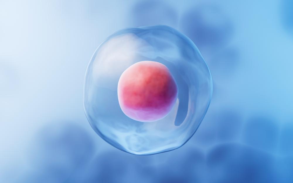 The Process of Stem Cell Therapy in Los Angeles