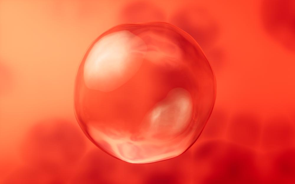 Why Choose Stem Cell Los Angeles?