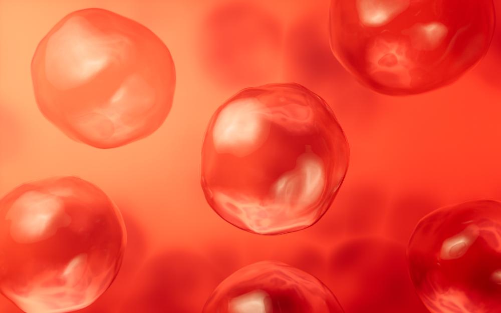 Benefits of Stem Cells Fort Lauderdale