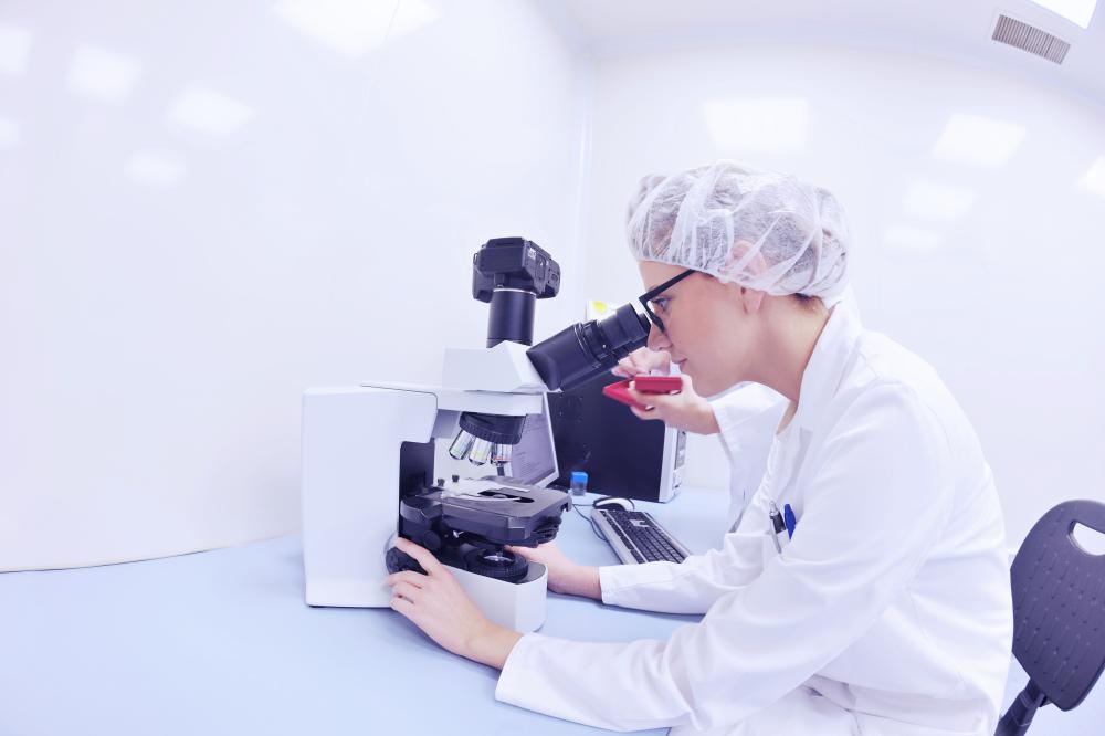 Importance of Innovation and Expertise