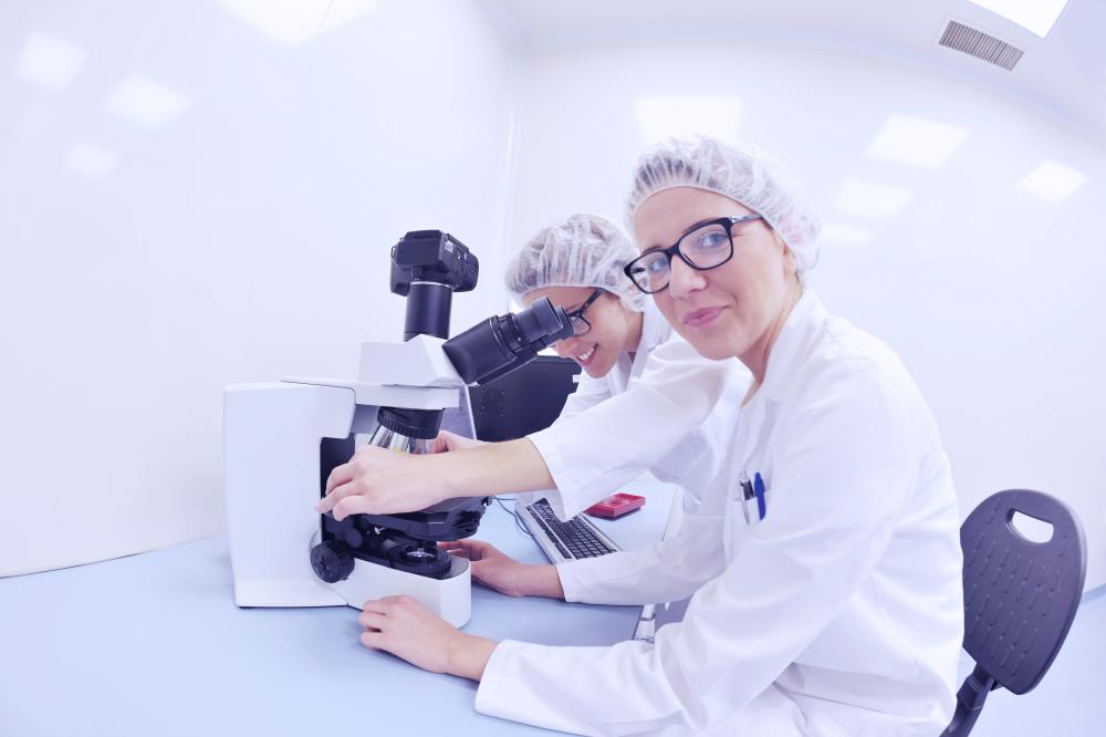 How Expertise Shapes Our Approach