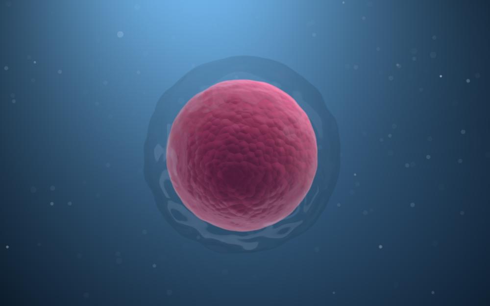 How to Choose a Denver Stem Cell Clinic