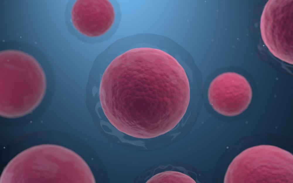 Key Application Areas of Stem Cell Exosomes
