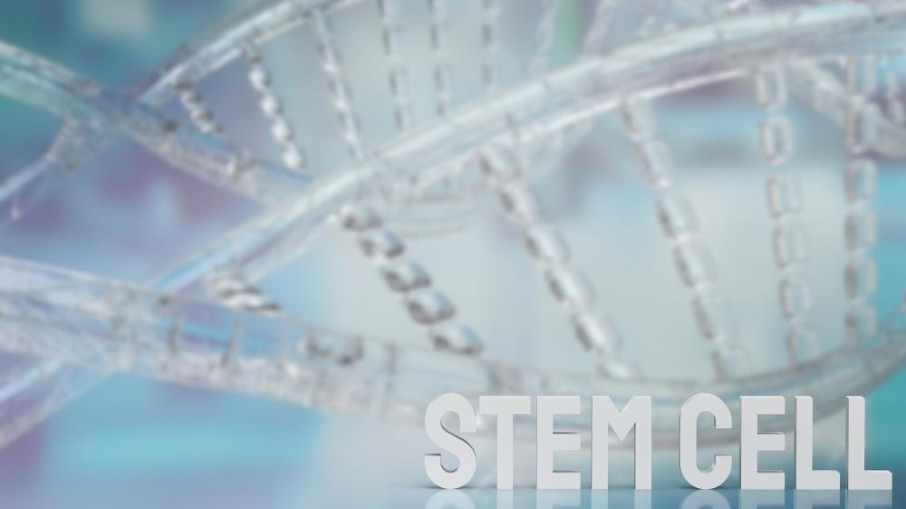 How Does Stem Cell Therapy Function?