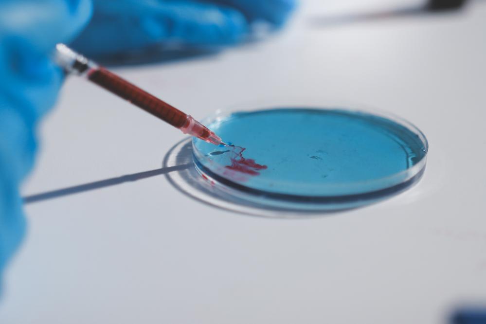 How Does Denver Stem Cell Treatment Work?