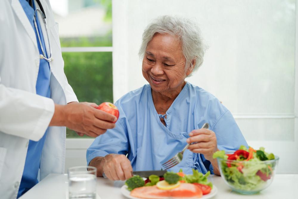 Nutritionist advising on healthy diet for home care patients