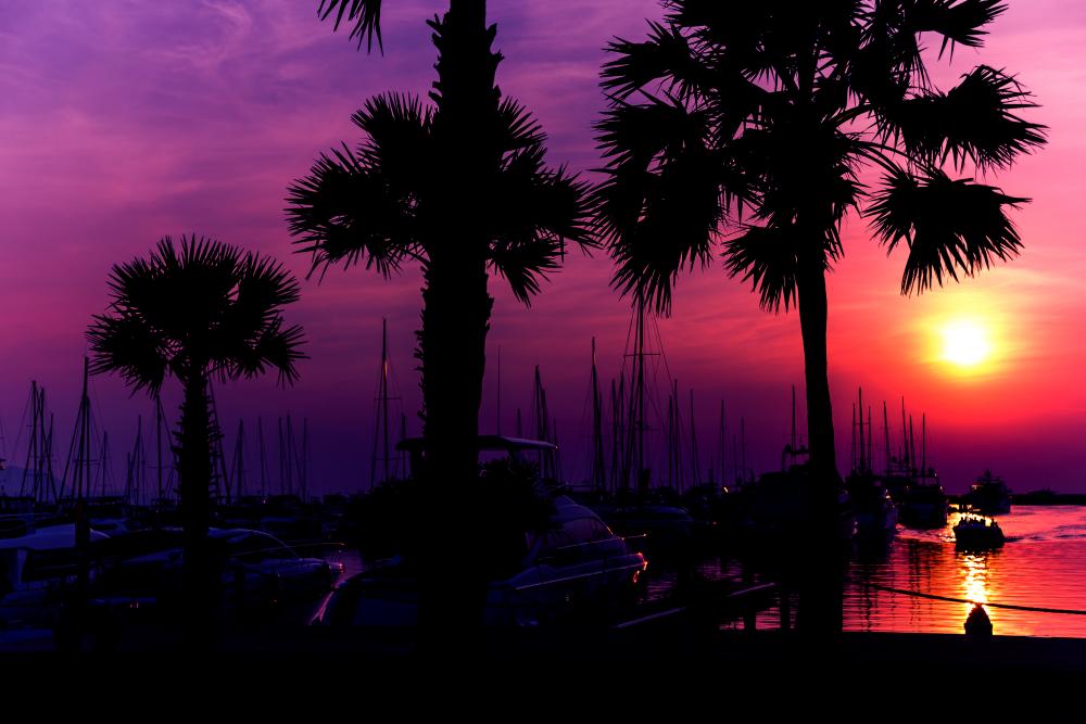The Expertise at Charleston Ketamine Center