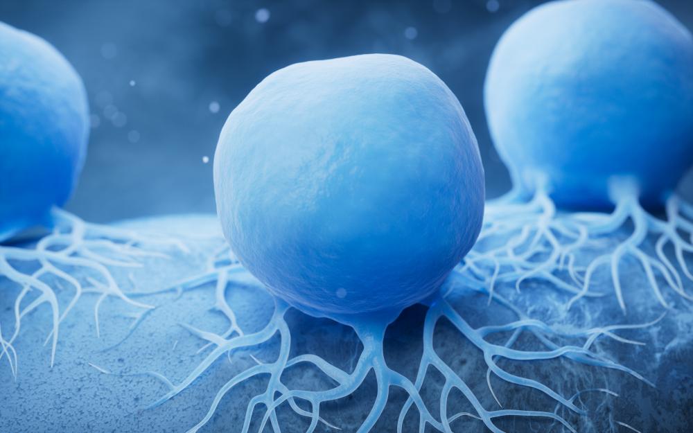 What Qualifies as a Stem Cell Beverly Hills Emergency?