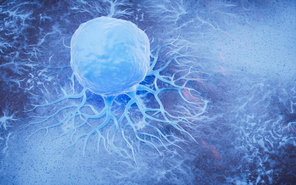 How Does Stem Cell Therapy Work?