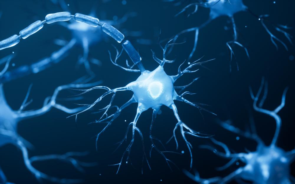 How Does Stem Cell Nerve Regeneration Fort Lauderdale Work?
