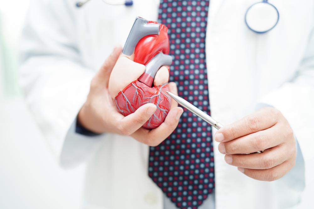 Choosing the Right Heart Disease Doctor Schaumburg IL