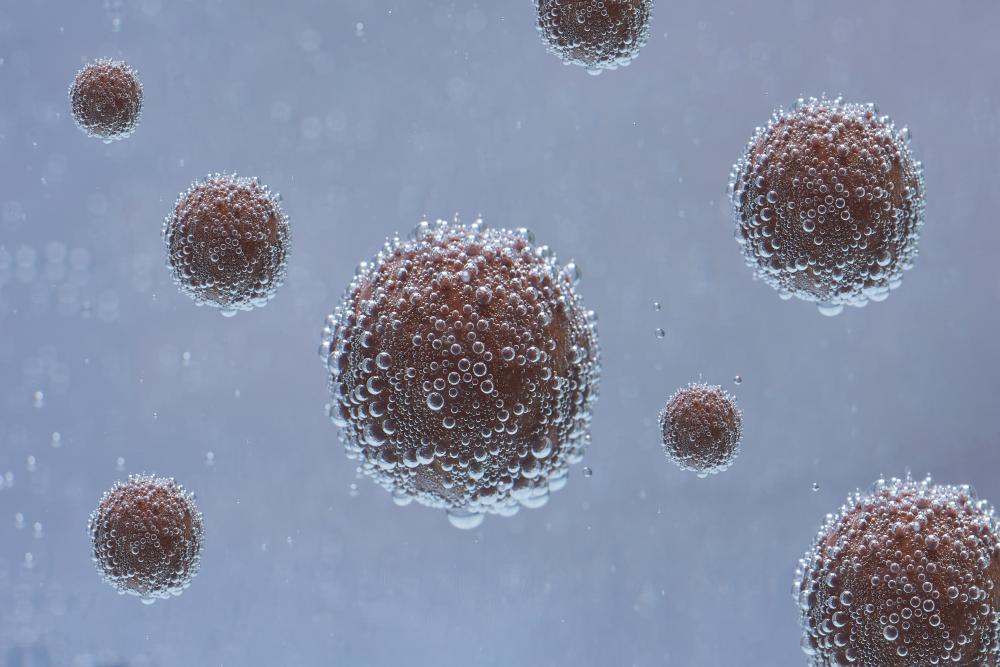 What Therapies Does Stem Cell Florida Offer?