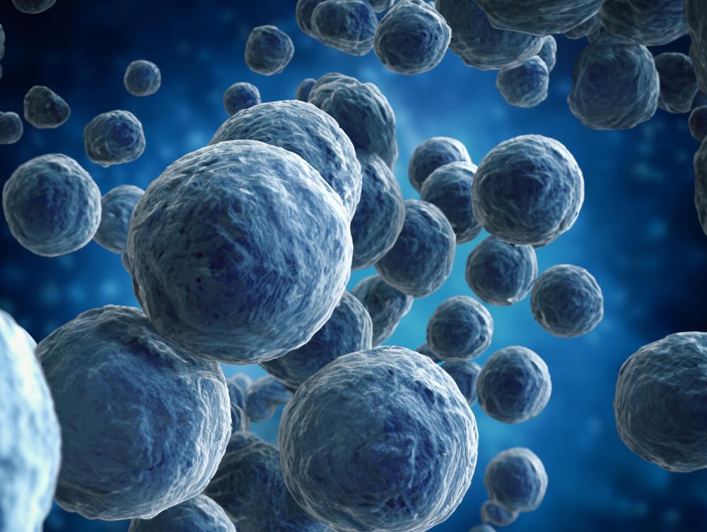 How Does Stem Cell Therapy Work in Boca Raton?