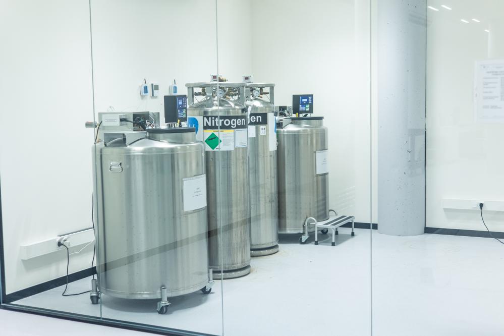 What Influences the Bioxcellerator Cost?