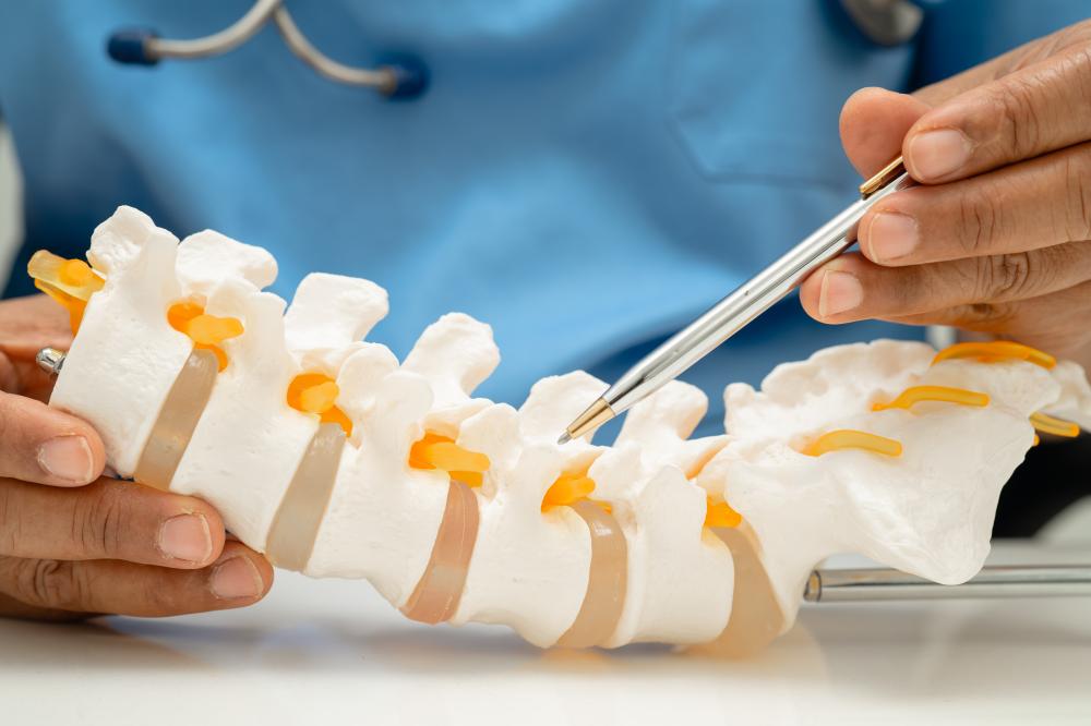 Which Stem Cell Types Are Used in Miami for Spinal Cord Injuries?