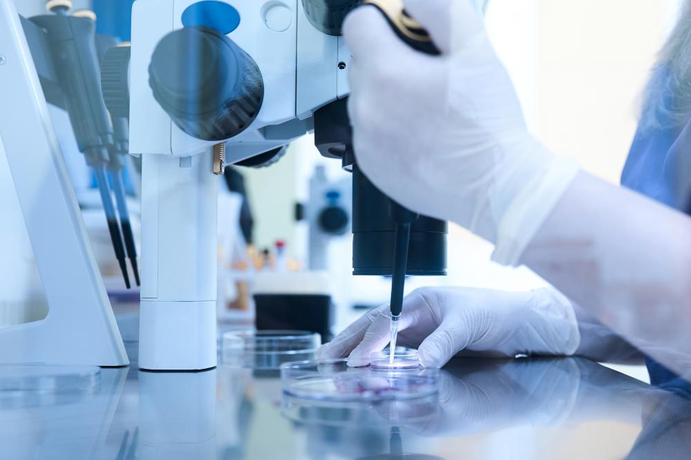 Key Benefits of Stem Cell Treatment