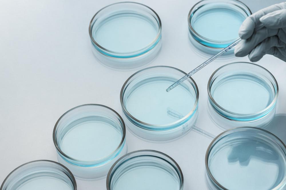 What is the process for Miami Stem Cell Therapy?
