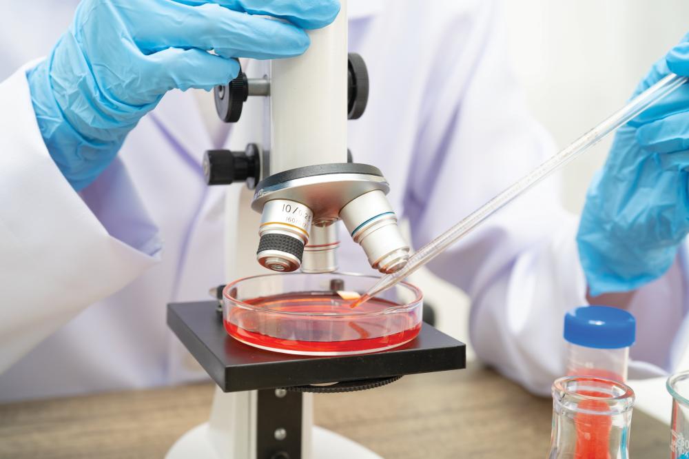 Criteria for Identifying the Best Stem Cell Doctors In Florida