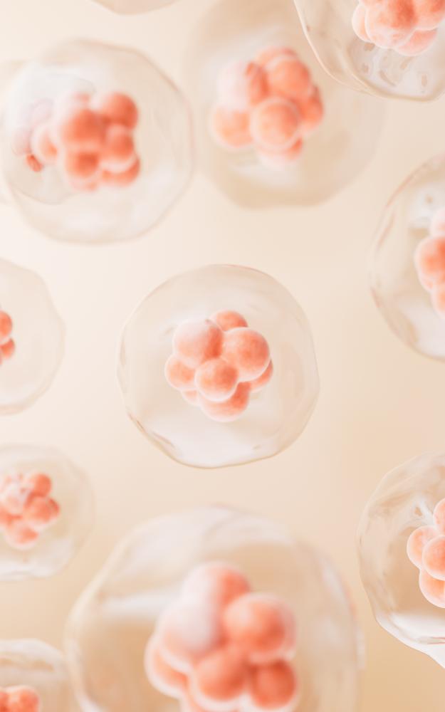 How to Choose the Right Stem Cell Products?