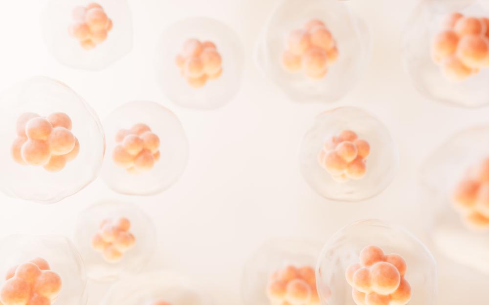 Benefits of Stem Cell Treatment Los Angeles