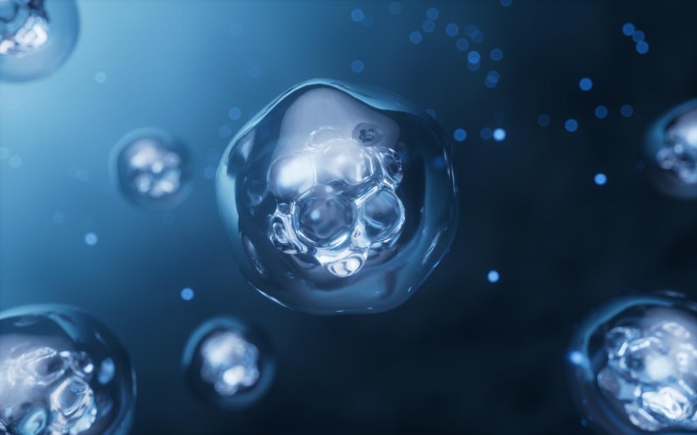 What is the Process for Stem Cell Therapy?