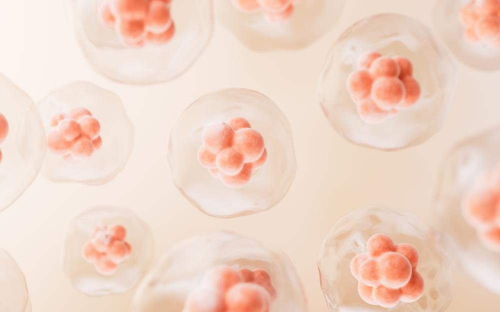 How Does Stem Cell Therapy Work?