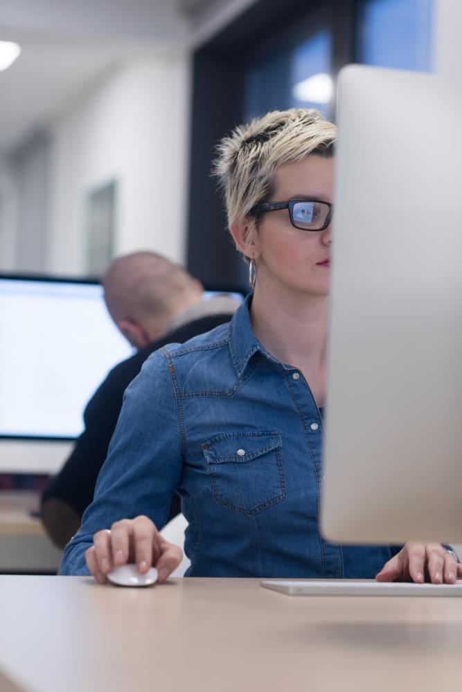 Nexonta's Approach to Software Programming