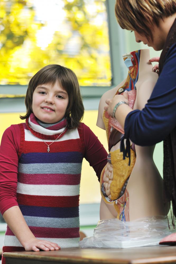 A child learning biology, representing post-treatment education for Hirschsprung Disease