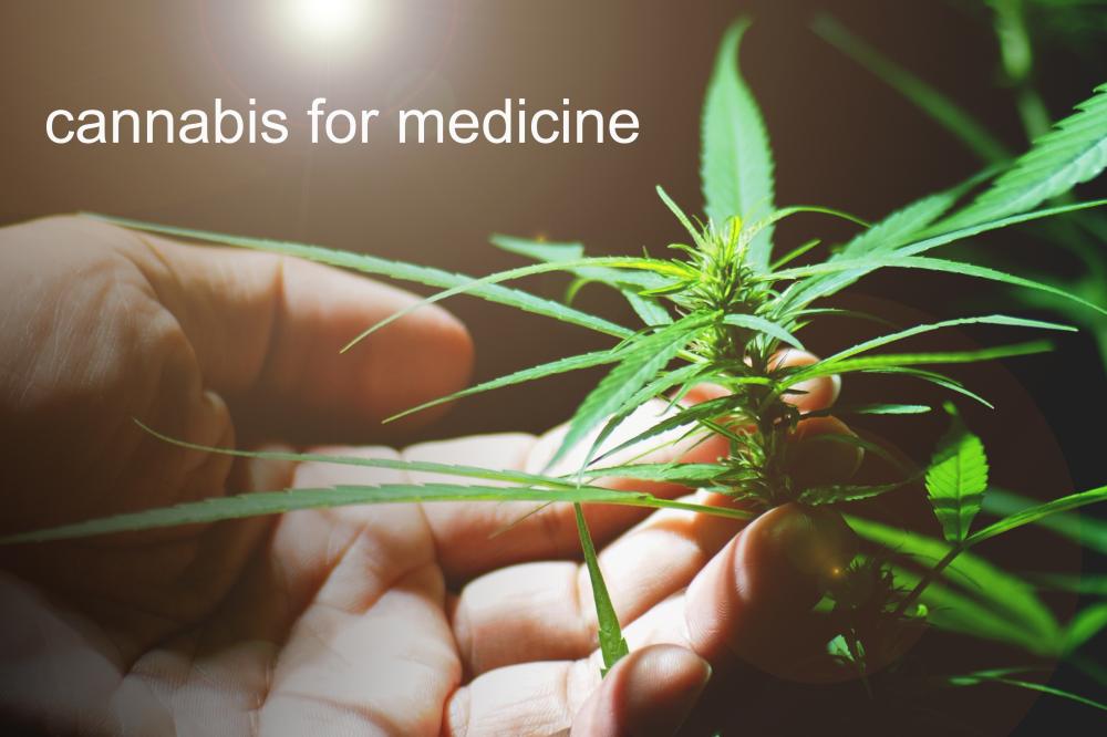 Understanding Medical Cannabis Dispensaries