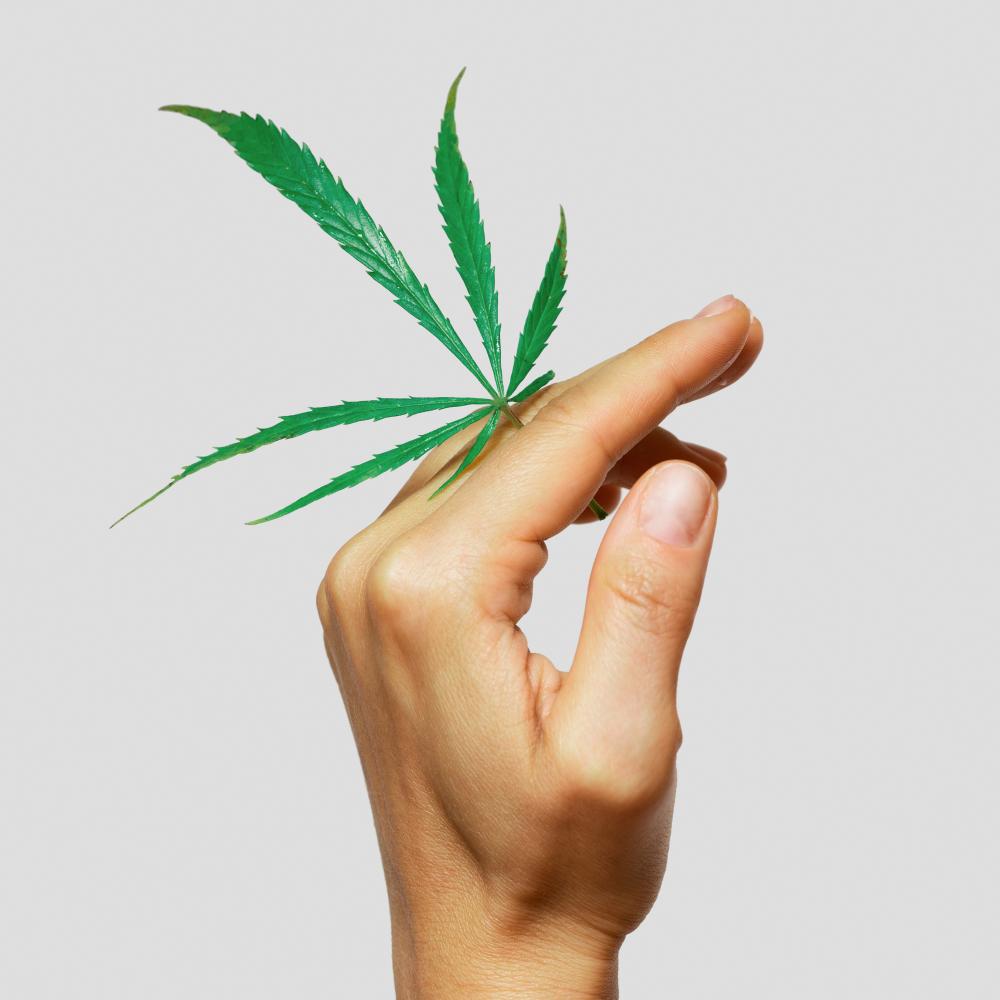 Innovative Cannabis Products at Manhattan Dispensary